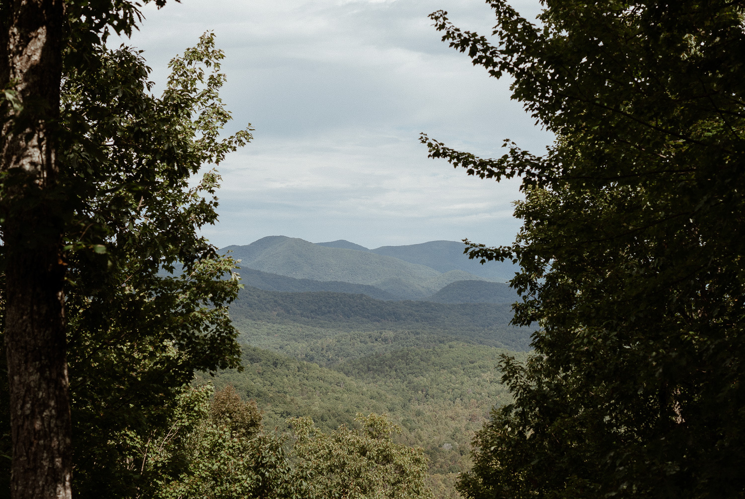 Black mountain view from cabin of Asheville elopement